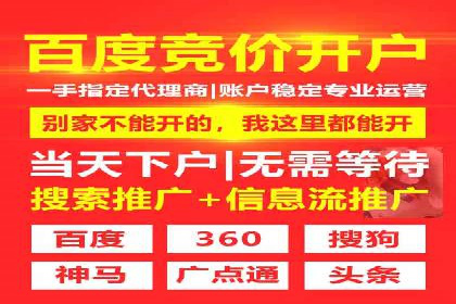 电商行业SEM运营的挑战与成功案例